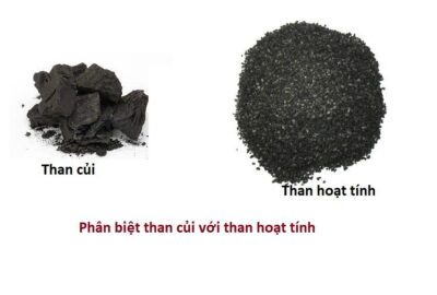 than-hoat-tinh-co-phai-than-cui-khong-1